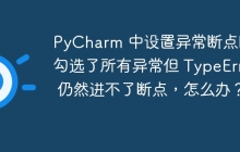 PyCharm 中设置异常断点时，勾选了所有异常但 TypeError 仍然进不了断点，怎么办？