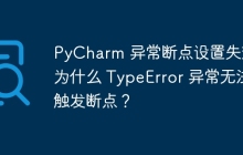 PyCharm 异常断点设置失效：为什么 TypeError 异常无法触发断点？