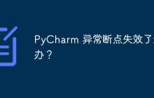 PyCharm 异常断点失效了怎么办？