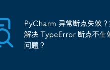 PyCharm 异常断点失效？如何解决 TypeError 断点不生效问题？