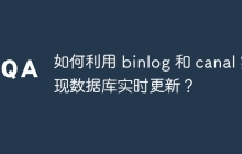 如何利用 binlog 和 canal 實(shí)現(xiàn)數(shù)據(jù)庫實(shí)時(shí)更新？