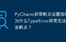 PyCharm异常断点设置指南：为什么TypeError异常无法触发断点？