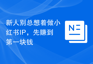 新人别总想着做小红书IP，先赚到第一块钱