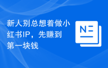 新人别总想着做小红书IP，先赚到第一块钱