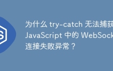 为什么 try-catch 无法捕获 JavaScript 中的 WebSocket 连接失败异常？