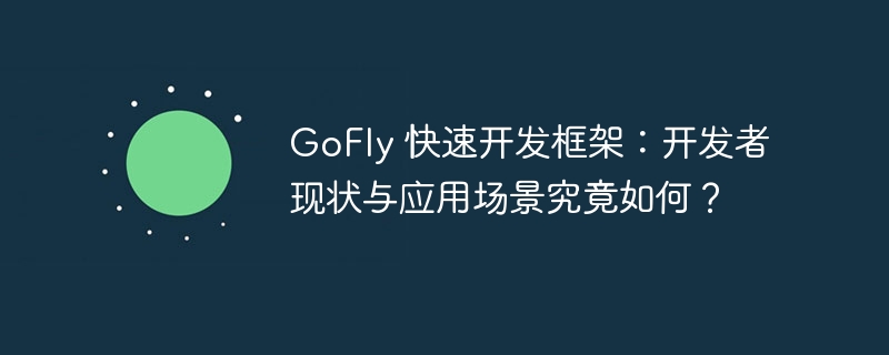 GoFly 快速開發框架：開發者現狀與應用場景究竟如何？ - 小浪云數據