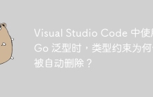 Visual Studio Code 中使用 Go 泛型时，类型约束为何会被自动删除？