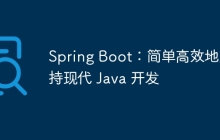 Spring Boot：简单高效地支持现代 Java 开发