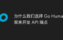 为什么我们选择 Go Huma 框架来开发 API 端点
