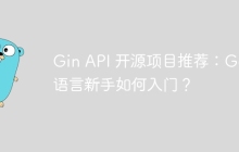 Gin API 开源项目推荐：Go 语言新手如何入门？