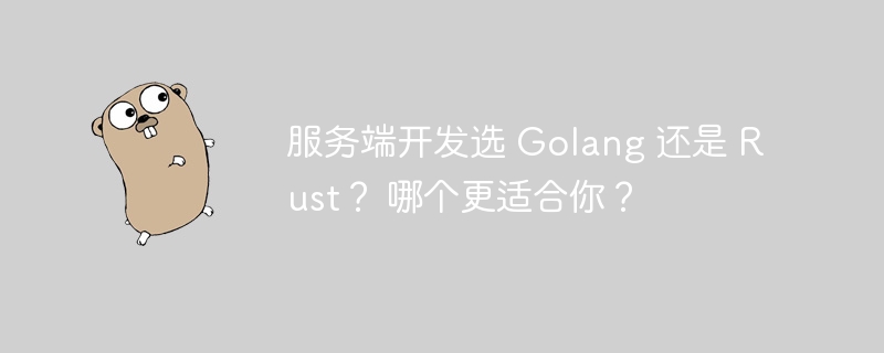 服务端开发选 golang 还是 rust？ 哪个更适合你？