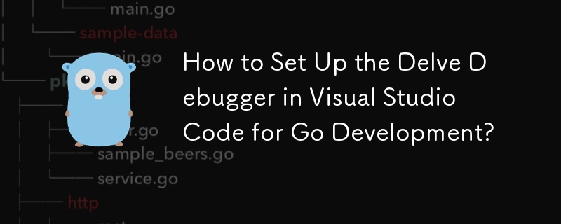 Wie richte ich den Delve-Debugger in Visual Studio Code für die Go-Entwicklung ein?