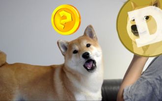 XYZVerse (XYZ):你買不起的全體育 Meme 代幣!