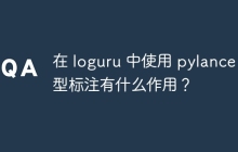 在 loguru 中使用 pylance 类型标注有什么作用？