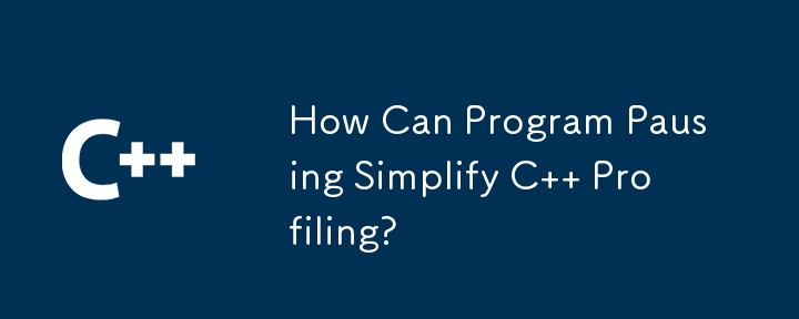 How Can Program Pausing Simplify C   Profiling?