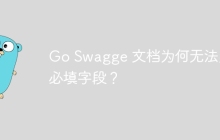 Go Swagge 文档为何无法显示必填字段？