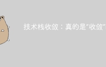 技术栈收敛：真的是“收敛”吗？
