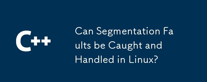 Linux でセグメンテーション違反を捕捉して処理できますか?