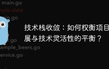 技术栈收敛：如何权衡项目发展与技术灵活性的平衡？