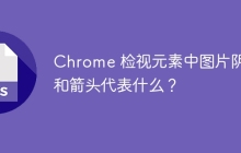 Chrome 检视元素中图片阴影和箭头代表什么?