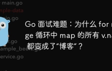 Go 面试难题：为什么 for range 循环中 map 的所有 v.name 都变成了“博客”？