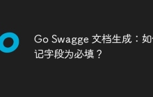 Go Swagge 文档生成：如何标记字段为必填？