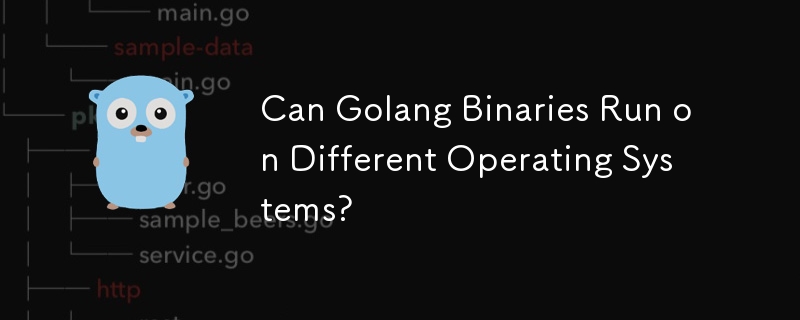 Können Golang-Binärdateien auf verschiedenen Betriebssystemen ausgeführt werden?