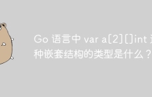 Go 语言中 var a[2][]int 这种嵌套结构的类型是什么？