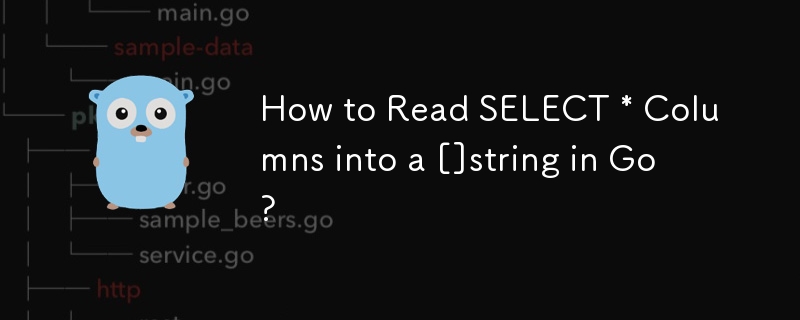 Wie lese ich SELECT *-Spalten in einen []String in Go ein?