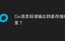 Go语言标准输出到底存储在哪里？