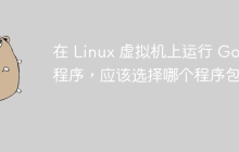 在 Linux 虚拟机上运行 Go 程序，应该选择哪个程序包？