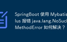 SpringBoot 使用 Mybatis-plus 报错 java.lang.NoSuchMethodError 如何解决？