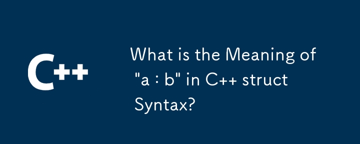 C 構造体の構文における「a : b」の意味は何ですか?