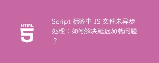 Script 标签中 JS 文件未异步处理：如何解决延迟加载问题？