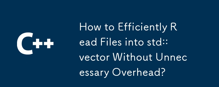 不必要なオーバーヘッドを発生させずにファイルを効率的に std::vector に読み取る方法
