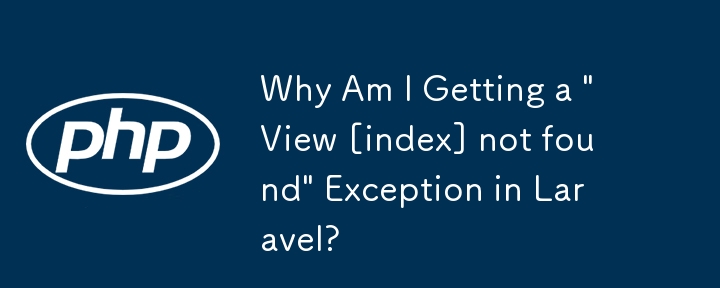 为什么我在 Laravel 中遇到“View [index] not found”异常？