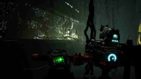 动物使用协议发售时间介绍