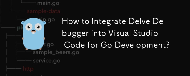 Wie integriere ich den Delve Debugger in Visual Studio Code für die Go-Entwicklung?