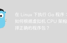 在 Linux 下执行 Go 程序：如何根据虚拟机 CPU 架构选择正确的程序包？