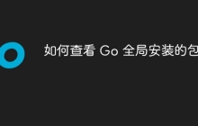 如何查看 Go 全局安装的包？