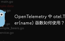 OpenTelemetry 中 otel.Tracer(name) 函数如何使用？