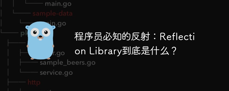 程序员必知的反射:reflection library到底是什么?