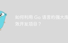 如何利用 Go 语言的强大库高效开发项目？