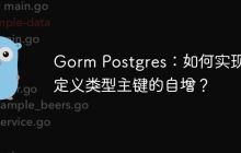 Gorm Postgres：如何实现自定义类型主键的自增？
