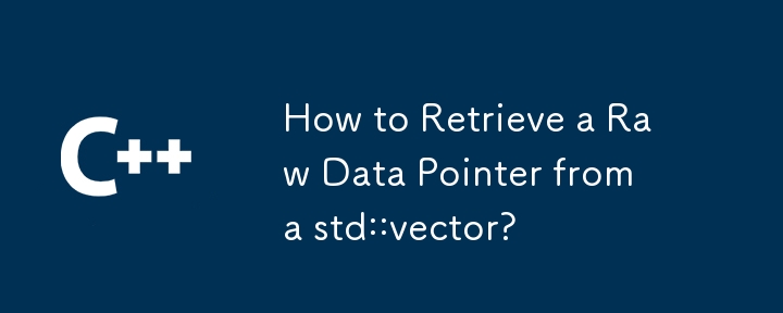 如何從 std::vector 檢索原始資料指標？