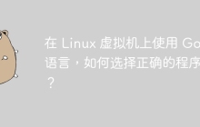 在 Linux 虚拟机上使用 Go 语言，如何选择正确的程序包？