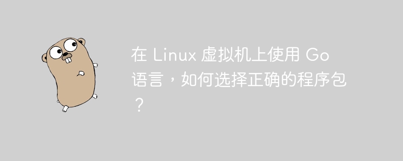 在 linux 虚拟机上使用 go 语言，如何选择正确的程序包？