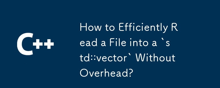 オーバーヘッドなしでファイルを効率的に std::vector に読み取る方法は?