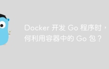 Docker 开发 Go 程序时，如何利用容器中的 Go 包？