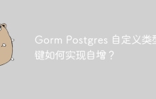 Gorm Postgres 自定义类型主键如何实现自增？